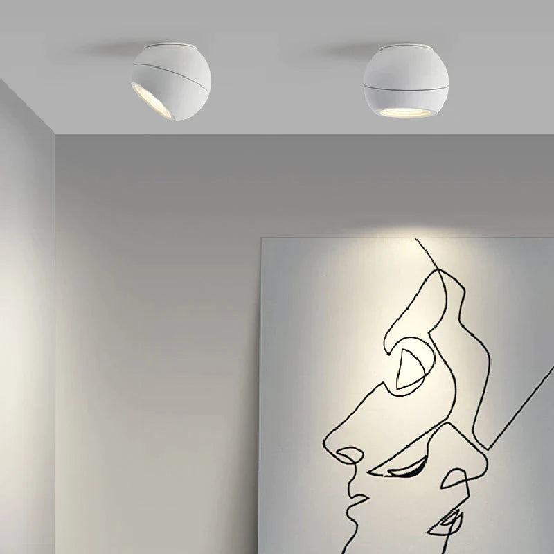 12w αρθρωτό στρογγυλό φως οροφής LED