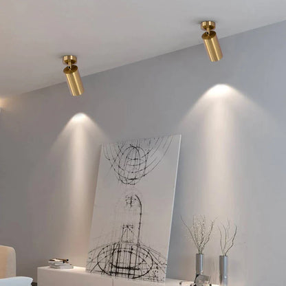 Φωτιστικό οροφής Spotlight Golden LED