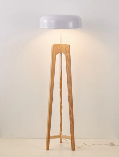 47513850380634|47513850446170|47513850511706