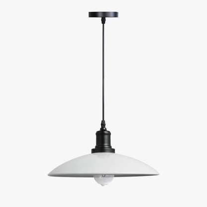 Κρεμαστό φωτιστικό Loft Industrial Metal